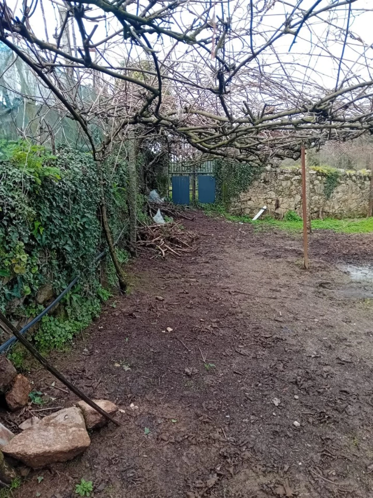 Quinta T6 para Venda em Gondifelos, Cavalões e Outiz Foto 23