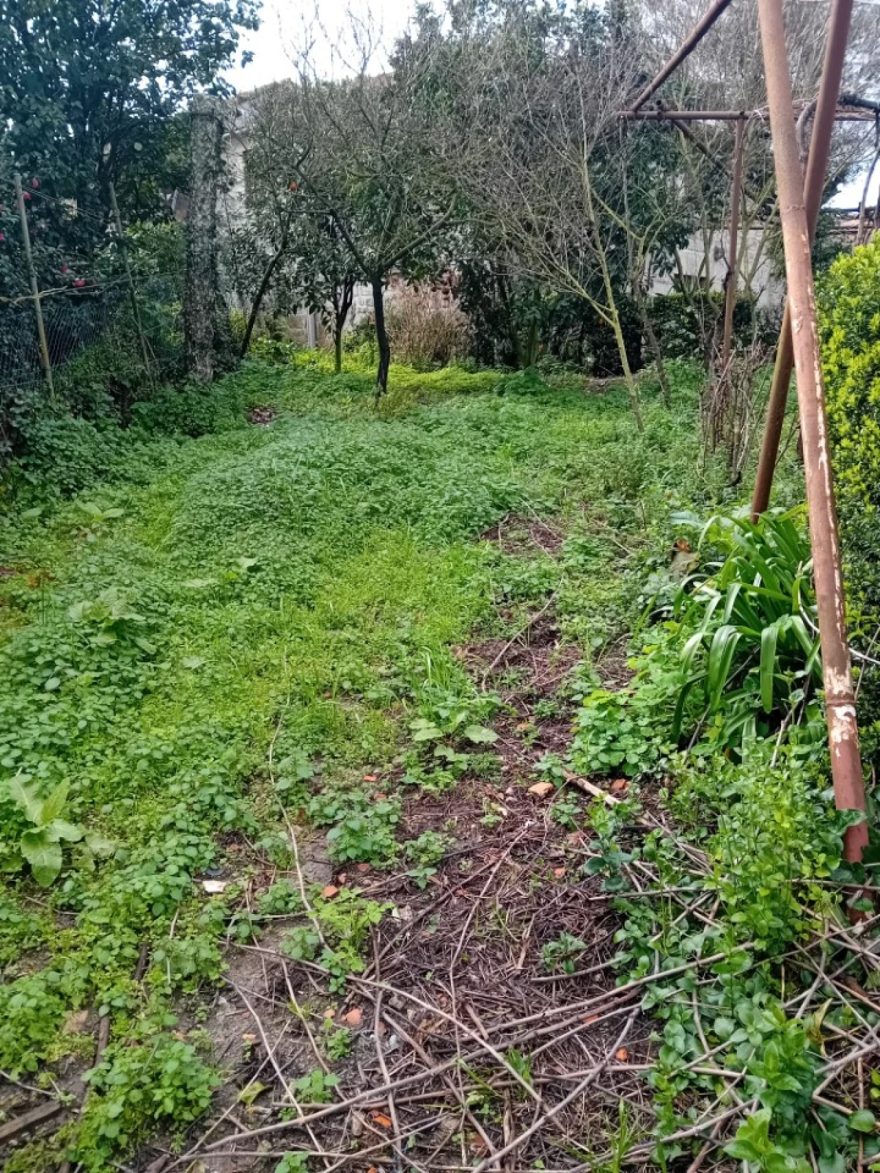 Quinta T6 para Venda em Gondifelos, Cavalões e Outiz Foto 24