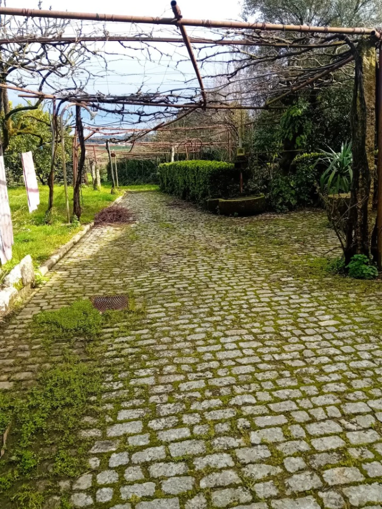 Quinta T6 para Venda em Gondifelos, Cavalões e Outiz Foto 4