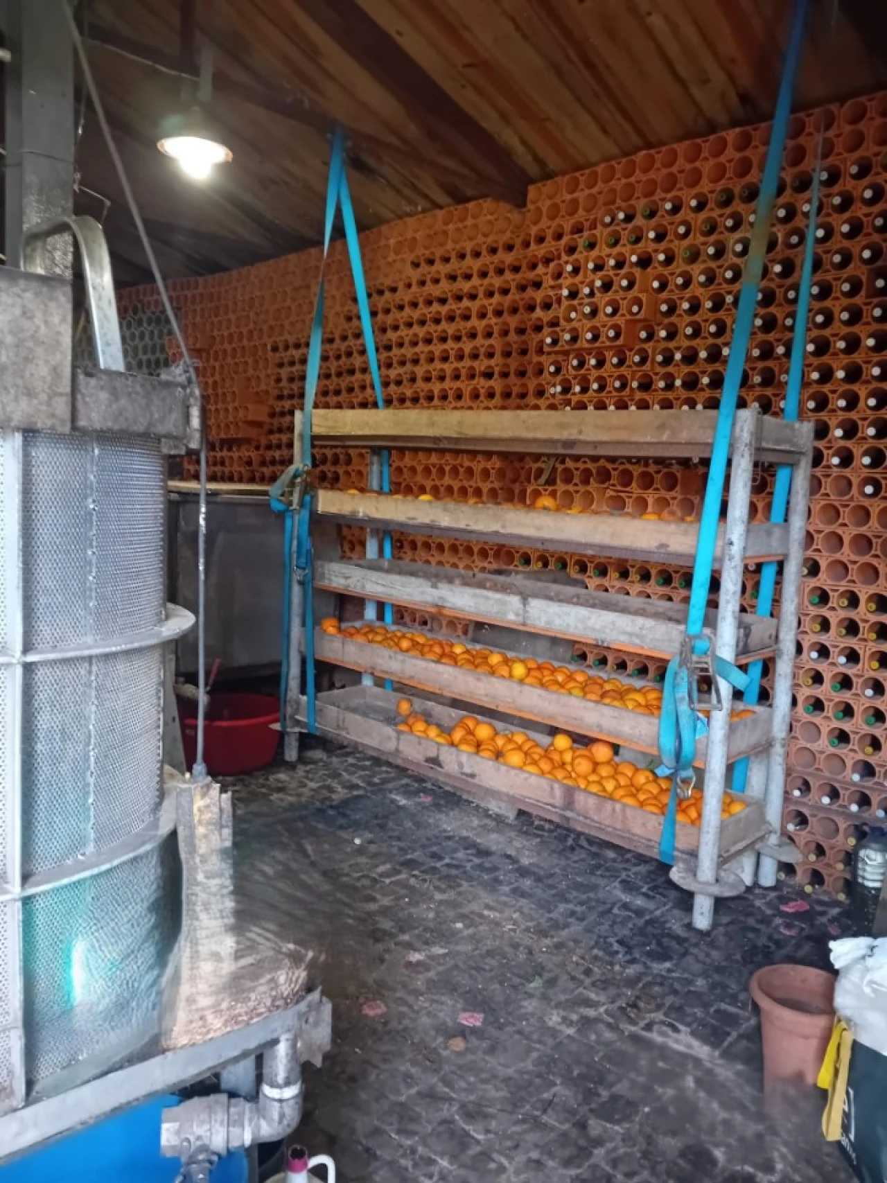 Quinta T6 para Venda em Gondifelos, Cavalões e Outiz Foto 50