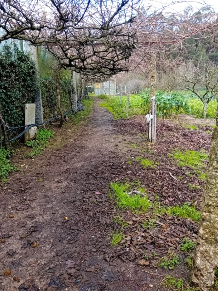 Quinta T6 para Venda em Gondifelos, Cavalões e Outiz Foto 20