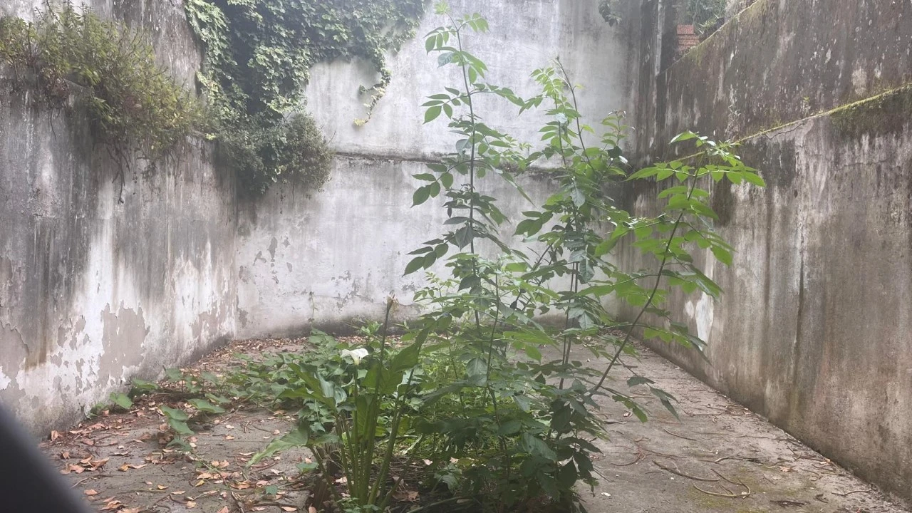 Loja para Arrendamento em Cedofeita, Santo Ildefonso, Sé, Miragaia, São Nicolau e Vitória Foto 13