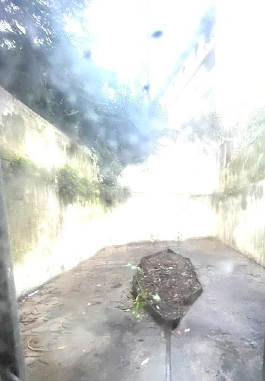 Loja para Arrendamento em Cedofeita, Santo Ildefonso, Sé, Miragaia, São Nicolau e Vitória Foto 14