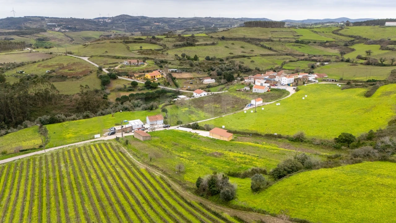 Terreno para Venda em Santo Quintino Foto 13