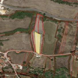 Terreno Misto para Venda em Santo Quintino
