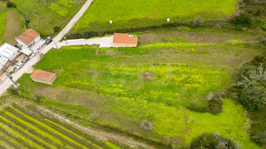Terreno para Venda em Santo Quintino Foto 15
