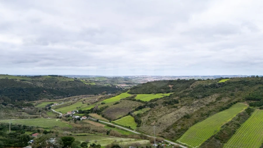 Terreno para Venda em Santo Quintino Foto 17