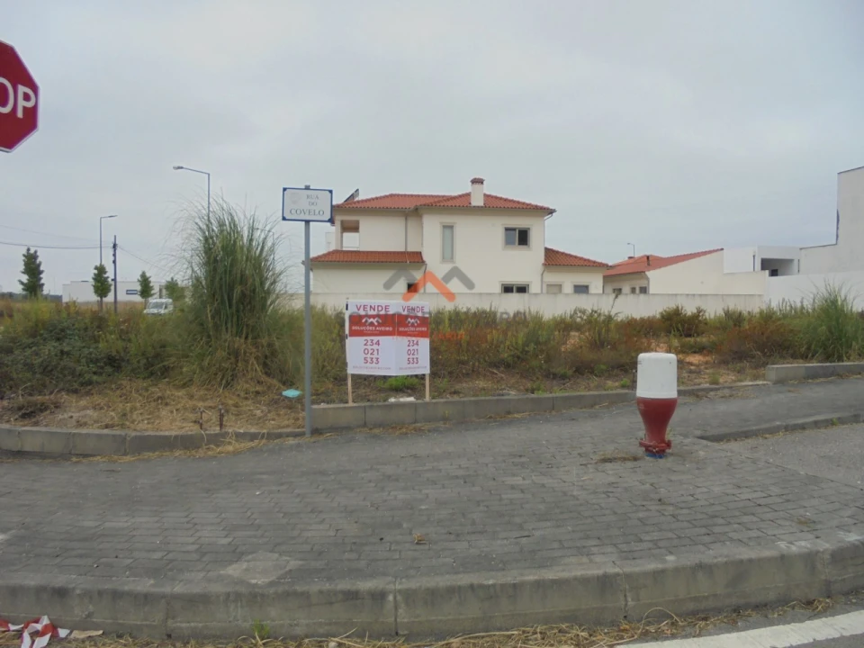 Terreno para Venda em Sangalhos Foto 3