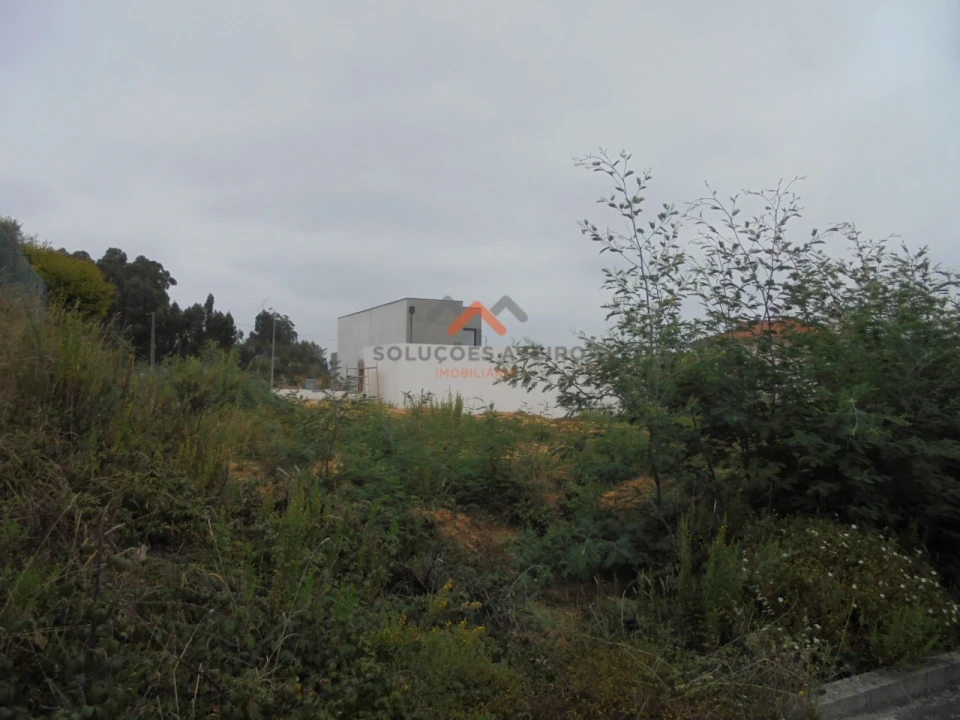 Terreno para Venda em Sangalhos Foto 13