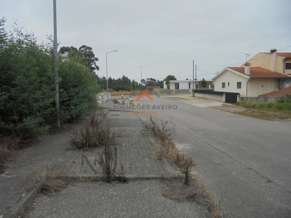 Terreno para Venda em Sangalhos Foto 16