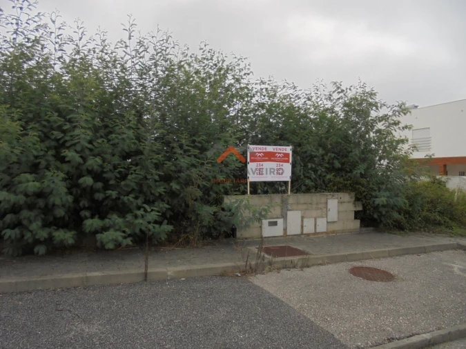 Terreno para Venda em Sangalhos Foto 5