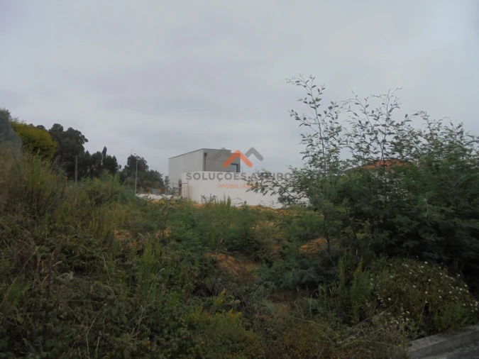 Terreno para Venda em Sangalhos Foto 13