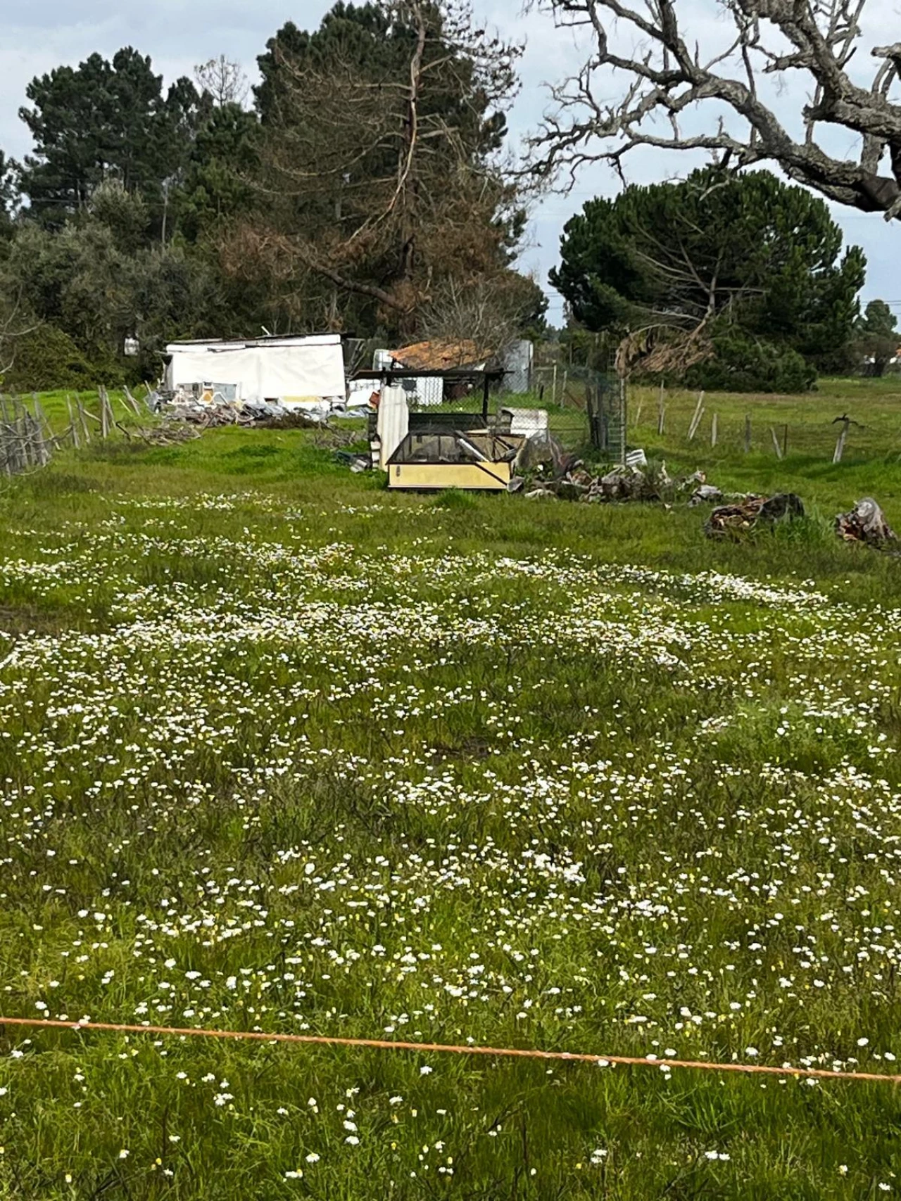 Terreno para Venda em Glória do Ribatejo e Granho Foto 1