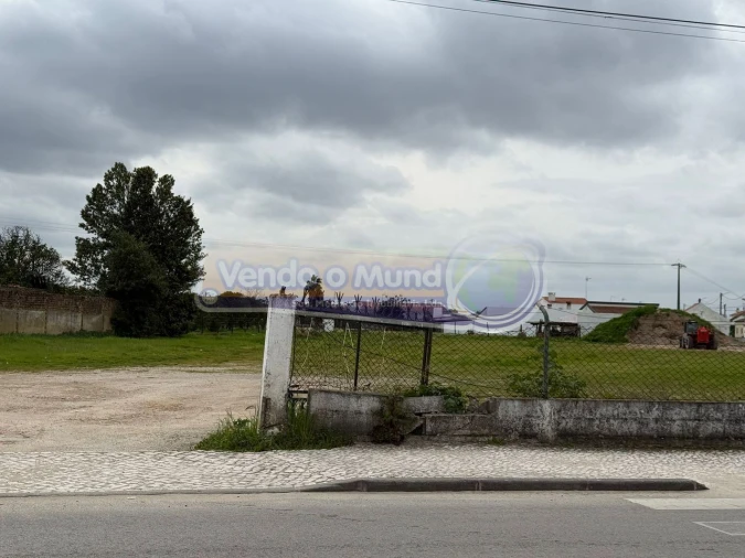 Terreno para Venda em Marinhais Foto 4