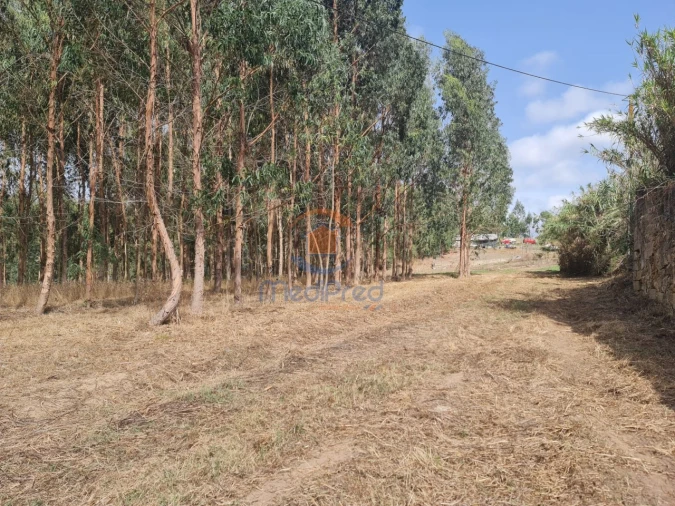 Quinta T3 para Venda em Maxial e Monte Redondo Foto 10