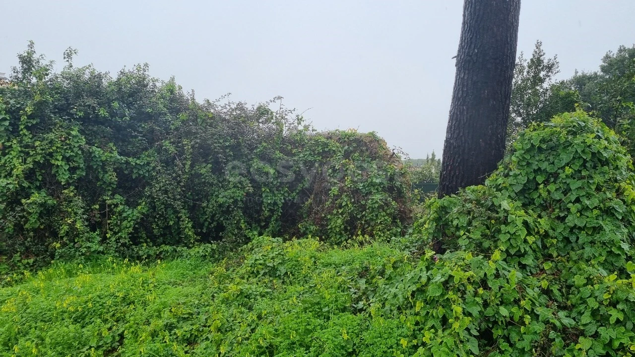 Terreno para Venda em Sesimbra (Castelo) Foto 5