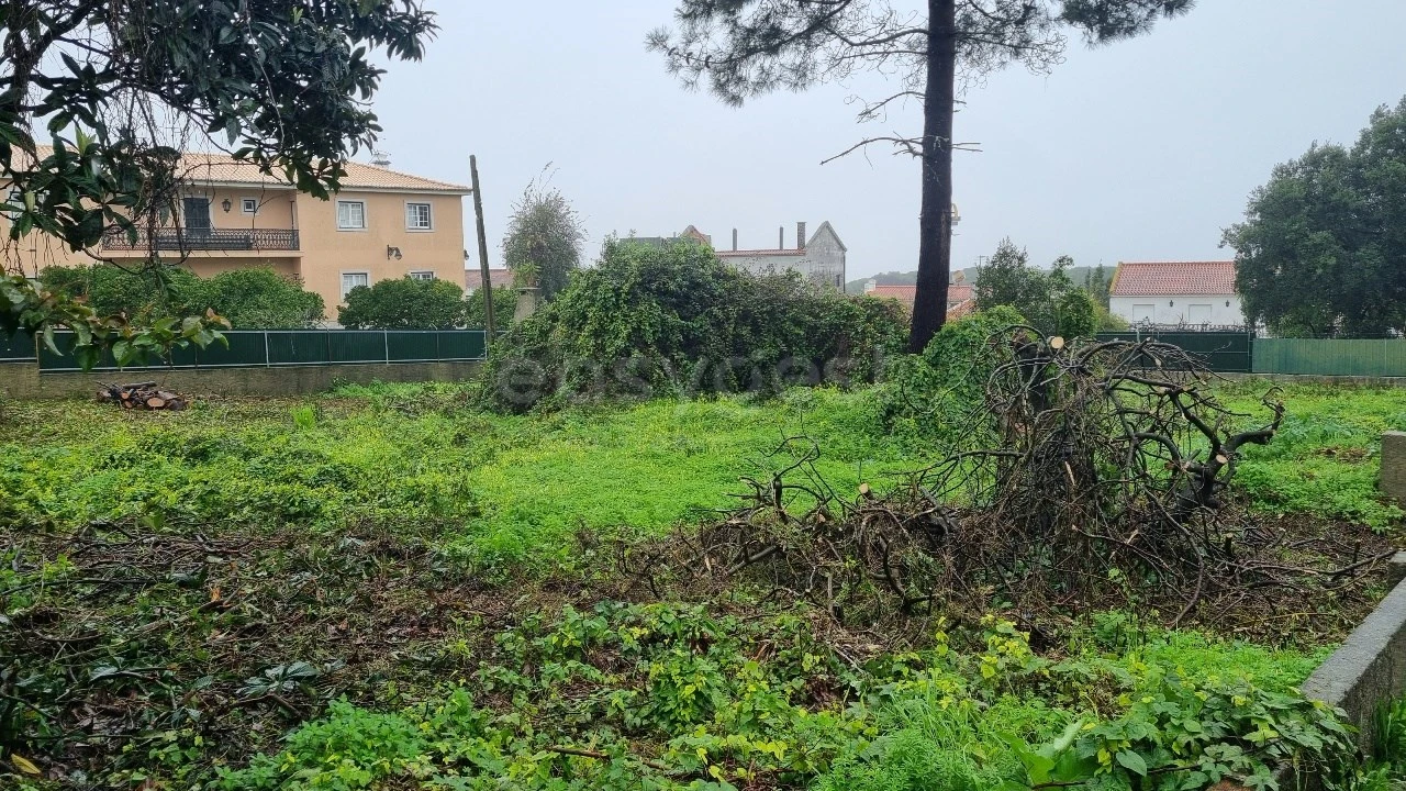 Terreno para Venda em Sesimbra (Castelo) Foto 8
