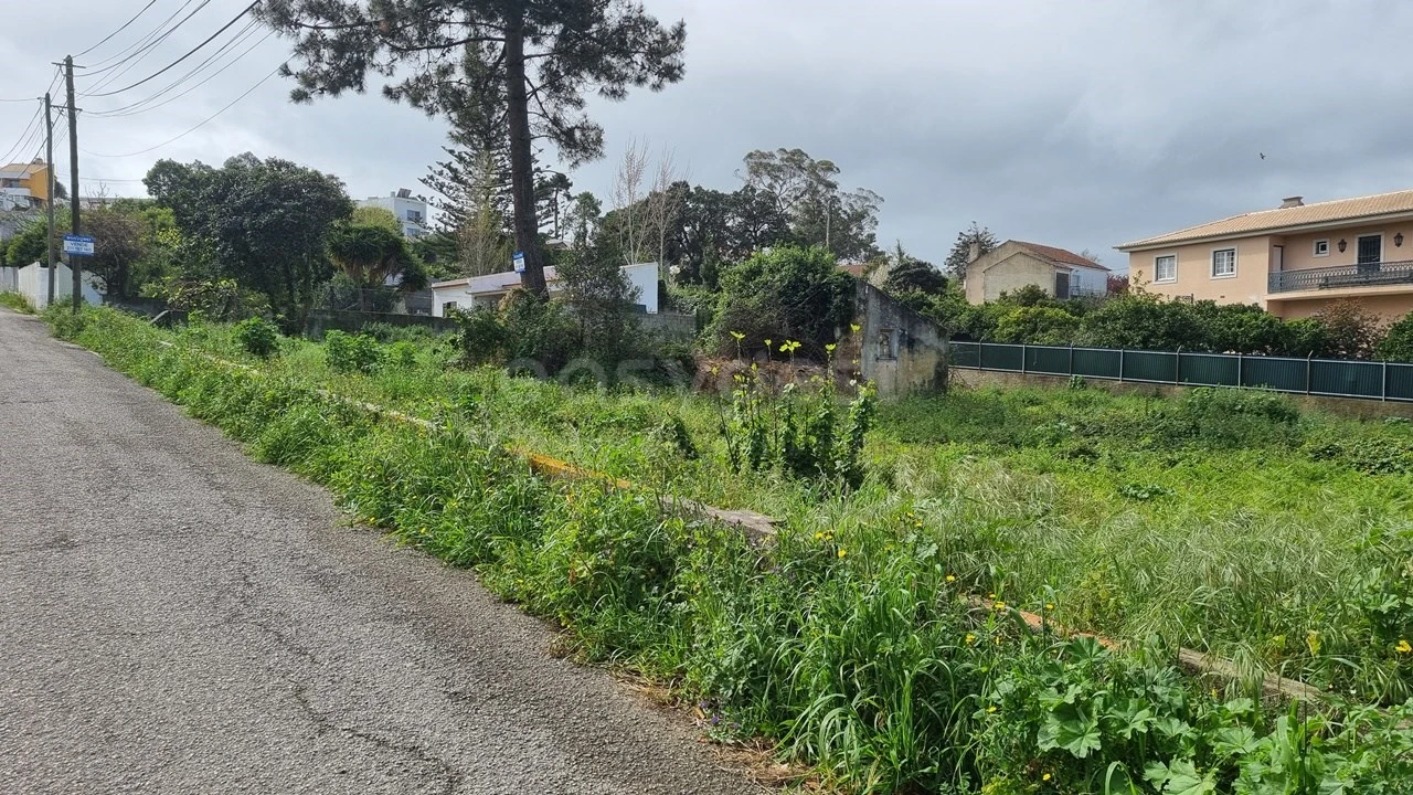 Terreno para Venda em Sesimbra (Castelo) Foto 9