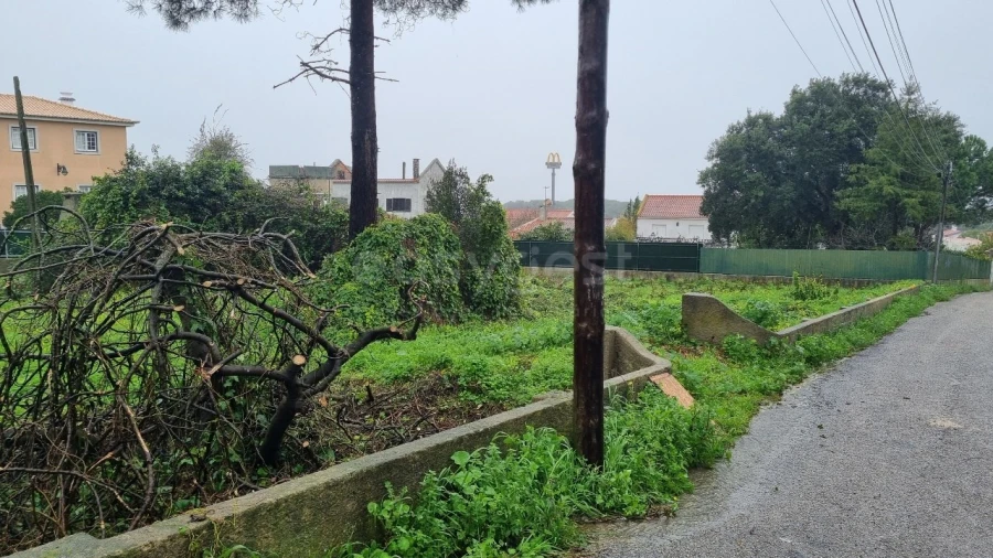 Terreno para Venda em Sesimbra (Castelo) Foto 4