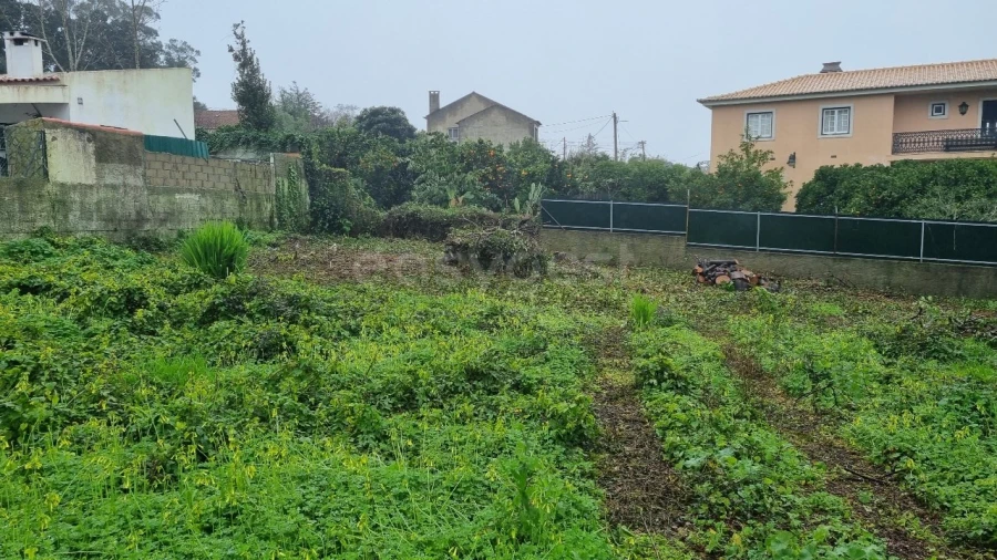 Terreno para Venda em Sesimbra (Castelo) Foto 6