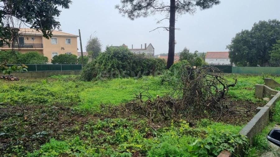 Terreno para Venda em Sesimbra (Castelo) Foto 7