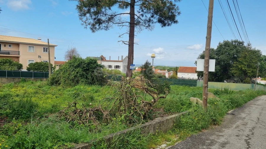 Terreno para Venda em Sesimbra (Castelo) Foto 7