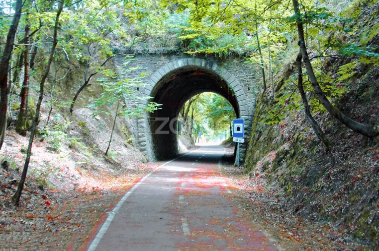 Moradia T4 para Venda em Cedrim e Paradela Foto 39