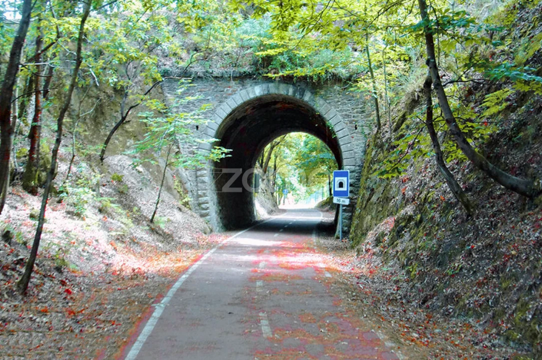 Moradia T4 para Venda em Cedrim e Paradela Foto 39