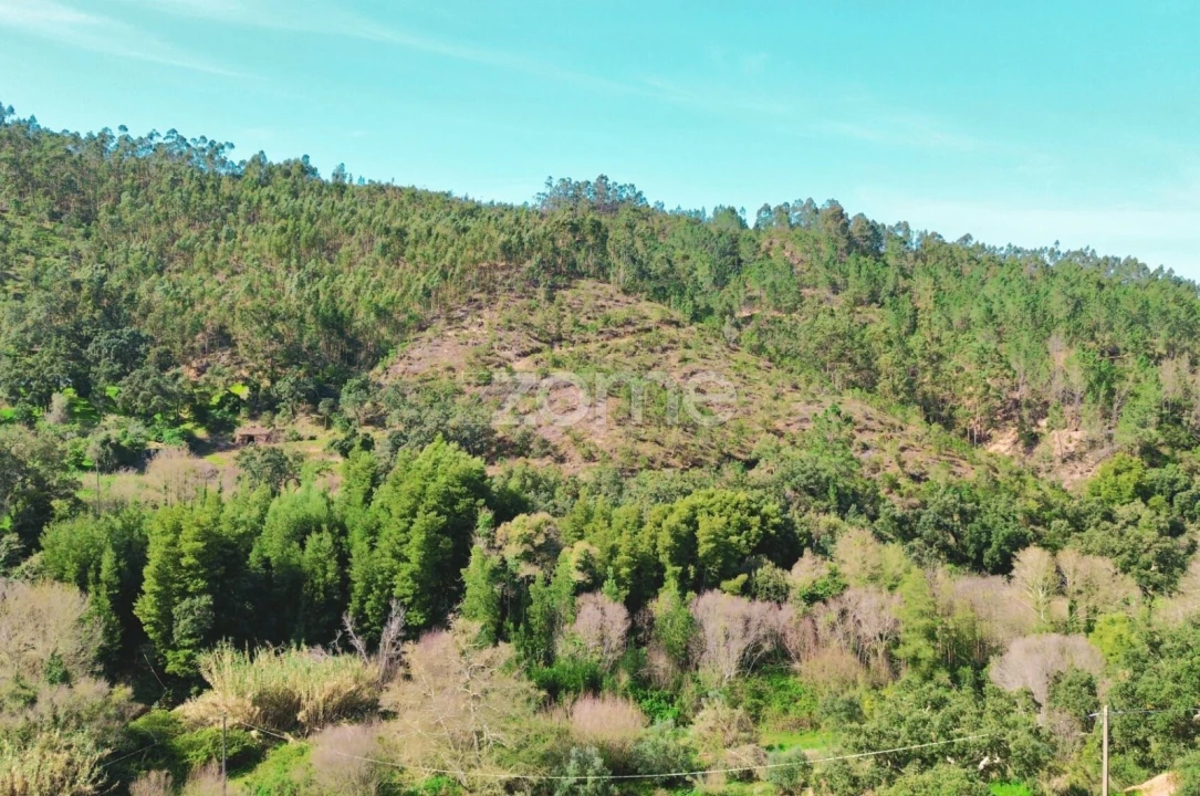 Moradia T5 para Venda em Monchique Foto 19