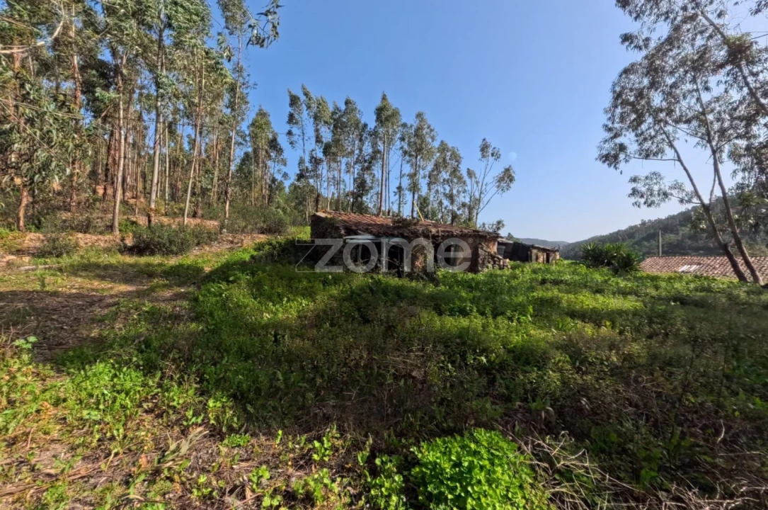 Moradia T5 para Venda em Monchique Foto 10