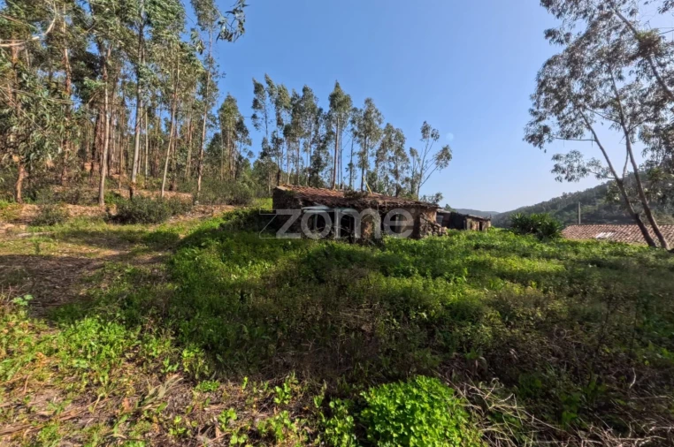 Moradia T5 para Venda em Monchique Foto 10