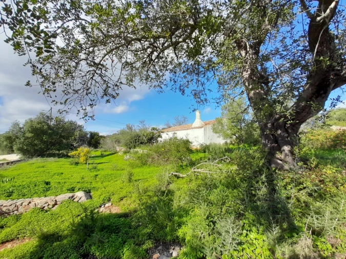 Quinta T3 para Venda em Luz de Tavira e Santo Estêvão Foto 5