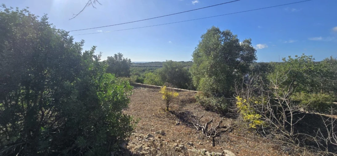 Quinta T3 para Venda em Luz de Tavira e Santo Estêvão Foto 10