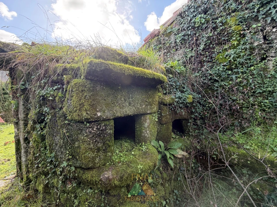 Moradia T5 para Venda em Rio de Moinhos Foto 35