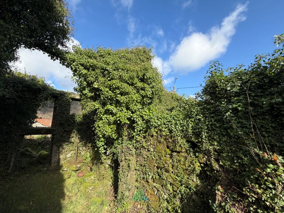 Moradia T5 para Venda em Rio de Moinhos Foto 40