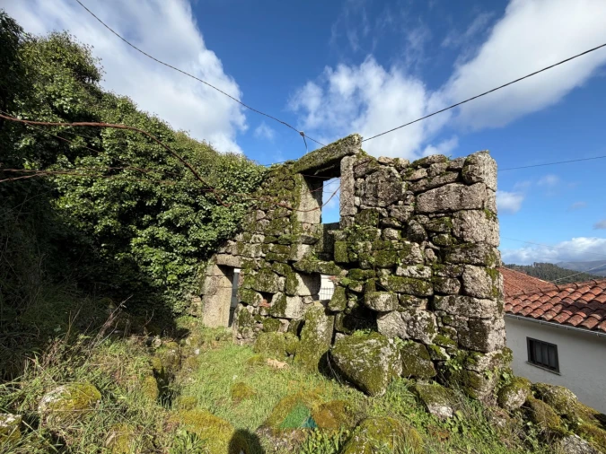 Moradia T5 para Venda em Rio de Moinhos Foto 4