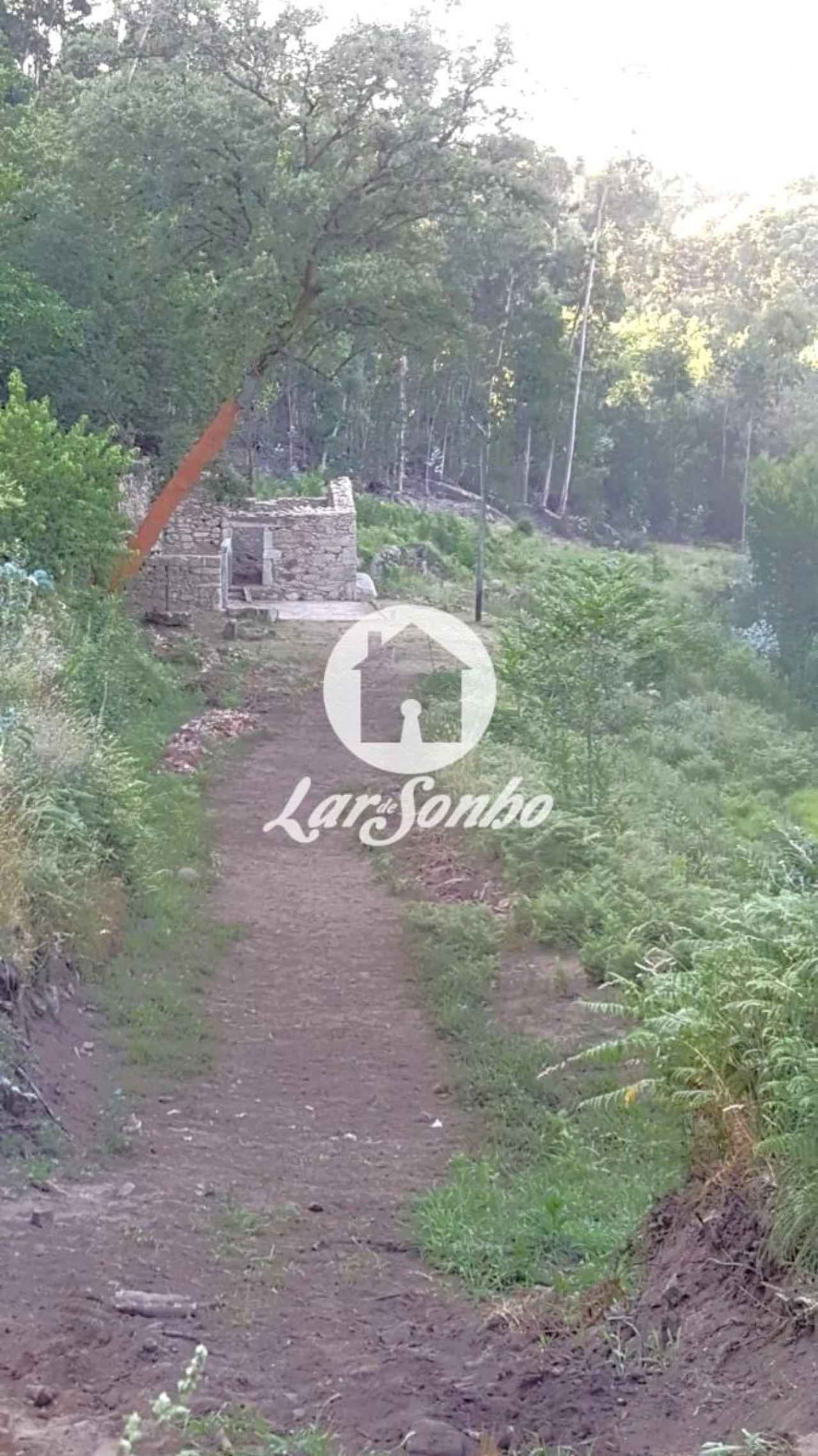 Quinta T2 para Venda em Quintiães e Aguiar Foto 7