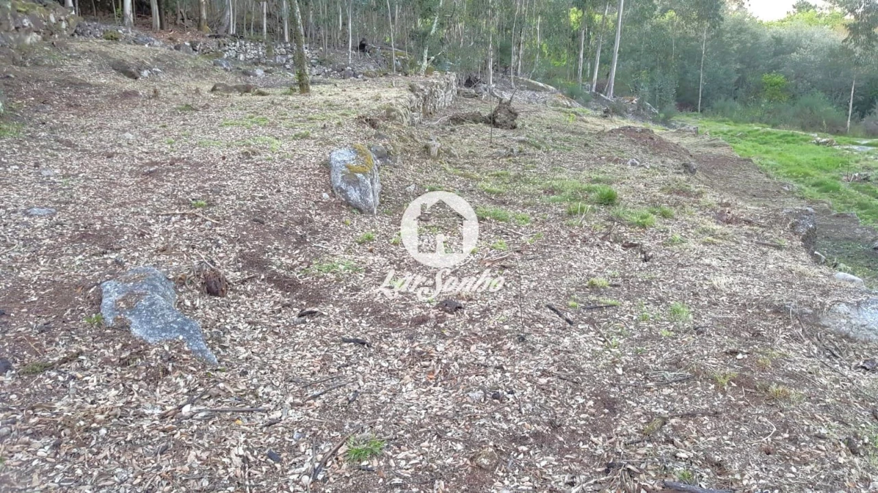 Quinta T2 para Venda em Quintiães e Aguiar Foto 9