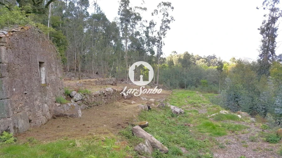 Quinta T2 para Venda em Quintiães e Aguiar Foto 8