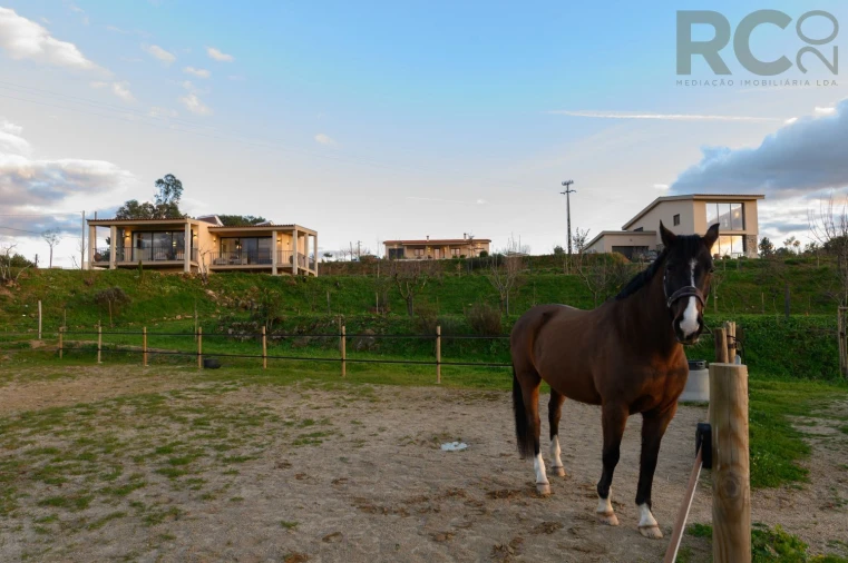 Quinta T0 para Venda em Ferro Foto 8