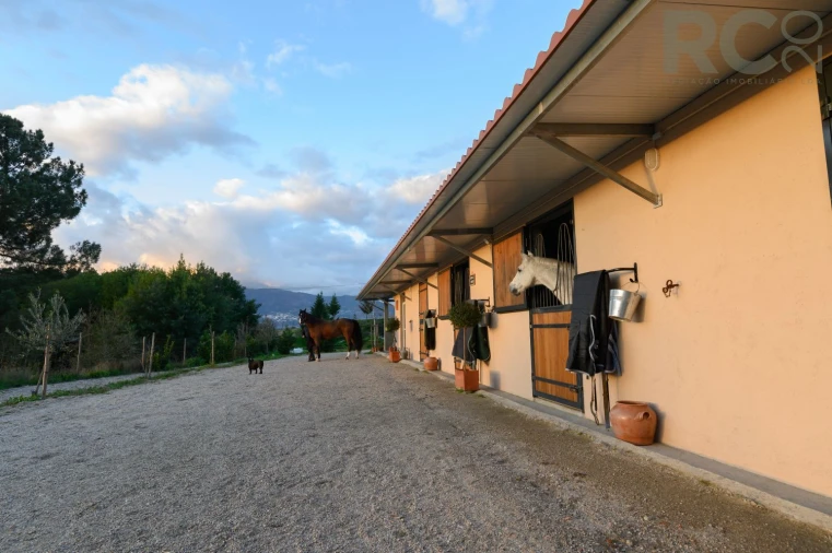 Quinta T0 para Venda em Ferro Foto 11