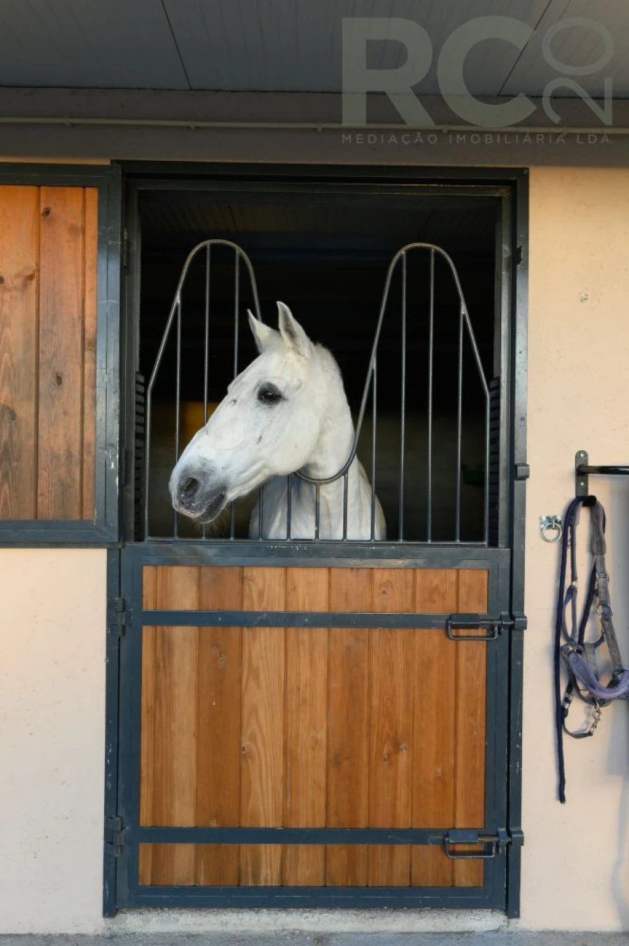 Quinta T0 para Venda em Ferro Foto 9
