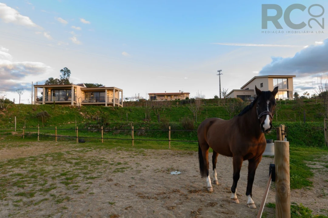 Quinta T0 para Venda em Ferro Foto 8