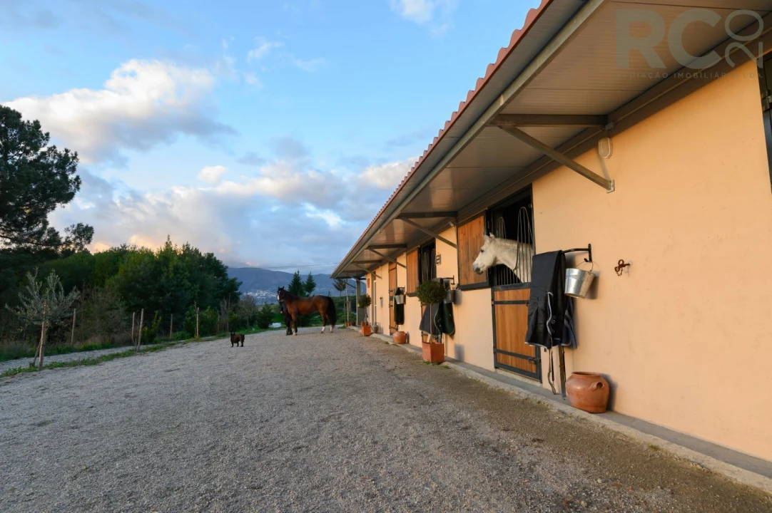 Quinta T0 para Venda em Ferro Foto 11