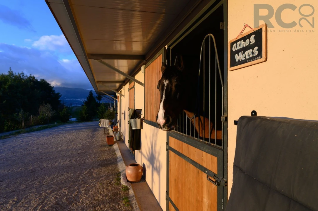 Quinta T0 para Venda em Ferro Foto 10