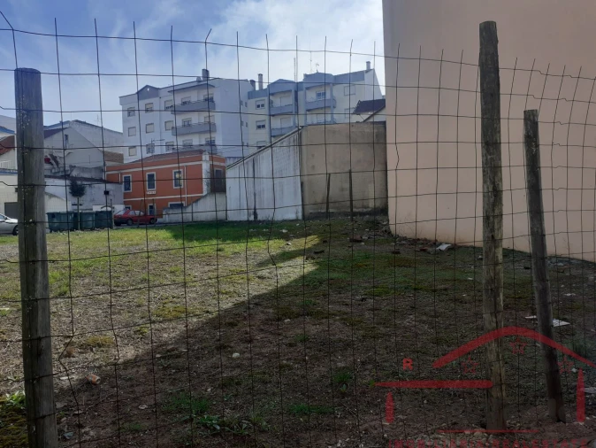 Terreno para Venda em Cadaval e Pêro Moniz Foto 14