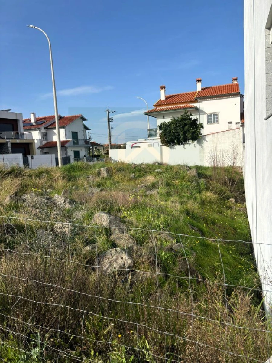 Terreno para Venda em Salgueiro do Campo Foto 10