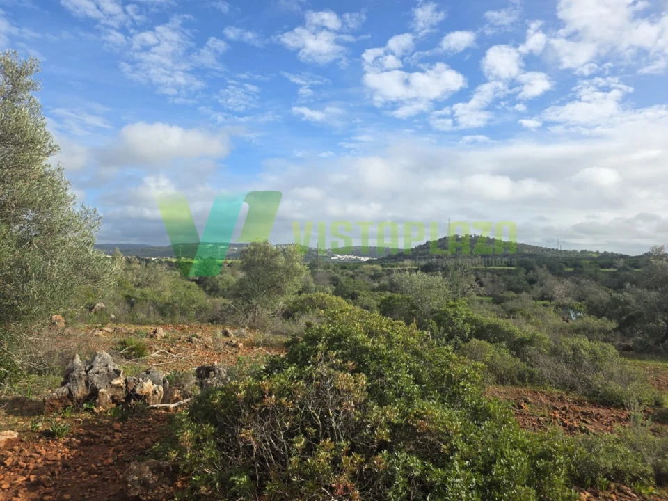 Terreno Agricola ou Rústico para Venda em Paderne Foto 7