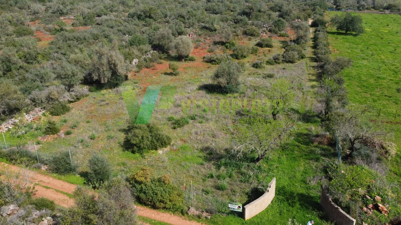 Terreno Agricola ou Rústico para Venda em Paderne Foto 1
