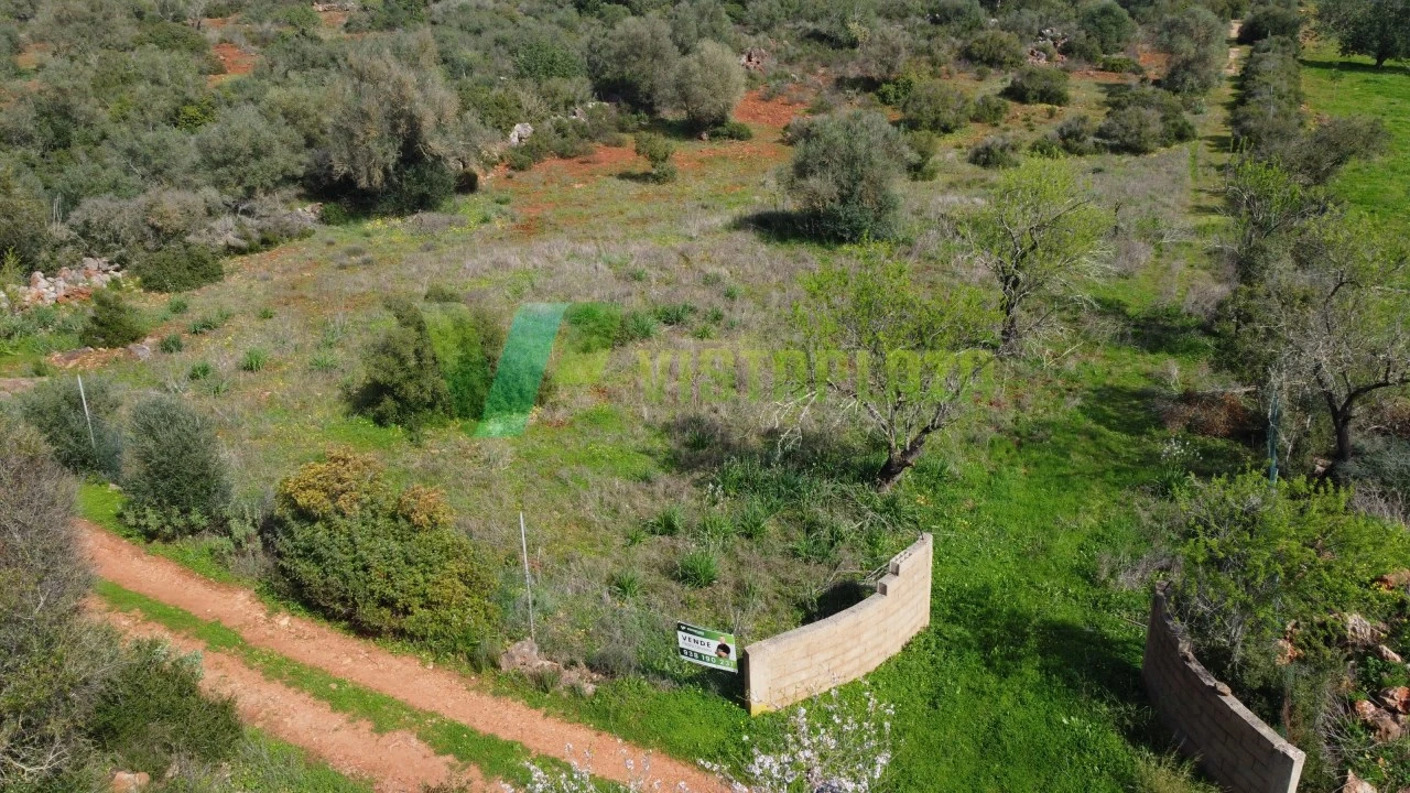Terreno Agricola ou Rústico para Venda em Paderne Foto 20